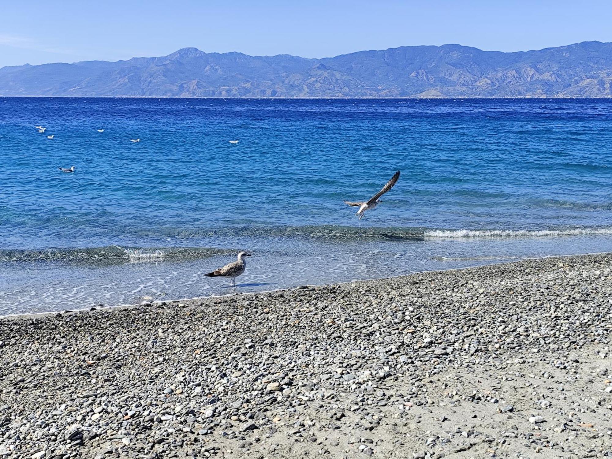 Apartmán La Casa Sul Viale Reggio di Calabria Exteriér fotografie